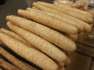 20111126 -���T�̔����ł�-_4