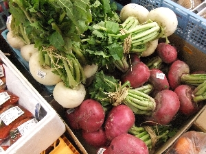 20111126 -���T�̔����ł�-_5