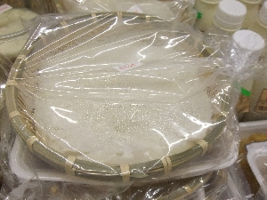 20111126 -���T�̔����ł�-_7