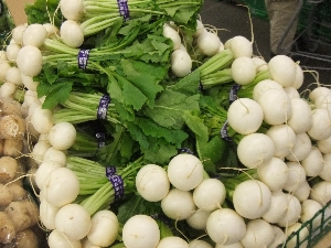 20111126 -���T�̔����ł�-_10