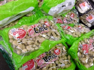 20111126 -���T�̔����ł�-_12