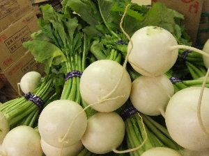 20111126 -���T�̔����ł�-_13