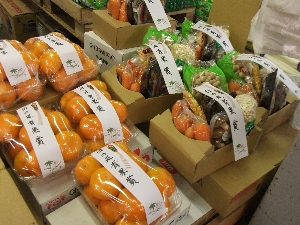 20111126 -���T�̔����ł�-_14