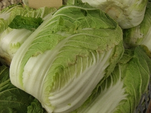 20111126 -���T�̔����ł�-_15