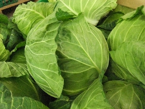 20111126 -���T�̔����ł�-_16