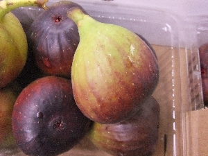 20111126 -���T�̔����ł�-_17