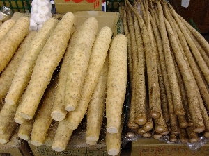 20111126 -���T�̔����ł�-_18