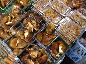 20111126 -���T�̔����ł�-_20