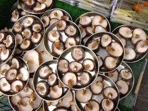 20111126 -���T�̔����ł�-_21