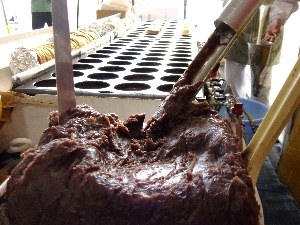 20111126 -���T�̔����ł�-_25