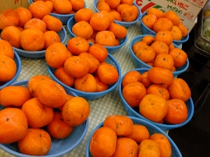 20111126 -���T�̔����ł�-_26