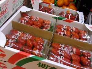 20111126 -���T�̔����ł�-_27