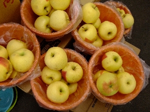 20111126 -���T�̔����ł�-_29