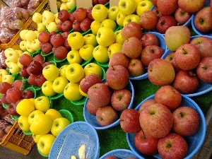 20111126 -���T�̔����ł�-_30