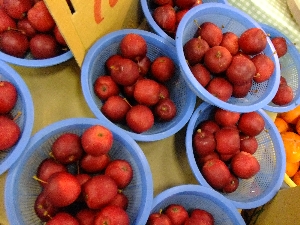 20111126 -���T�̔����ł�-_31