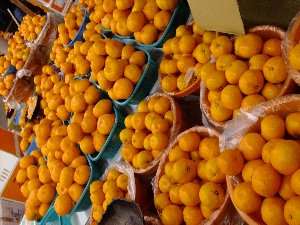 20111126 -���T�̔����ł�-_32