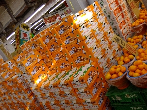 20111126 -���T�̔����ł�-_33