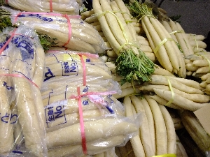 20111126 -���T�̔����ł�-_35