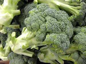 20111126 -���T�̔����ł�-_37