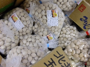 20111126 -���T�̔����ł�-_39