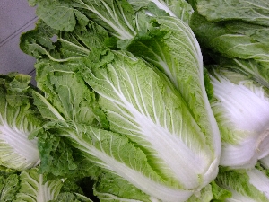 20111126 -���T�̔����ł�-_41