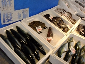 20111126 -���T�̔����ł�-_44