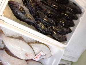 20111126 -���T�̔����ł�-_45