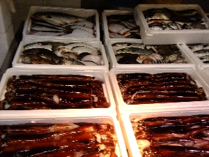 20111126 -���T�̔����ł�-_49