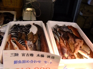 20111126 -���T�̔����ł�-_51