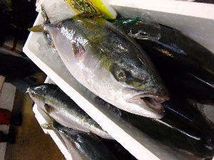 20111126 -���T�̔����ł�-_55