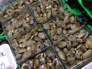 20111126 -���T�̔����ł�-_59