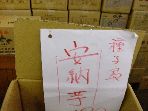 20111203 -���T�̔����ł�-_10