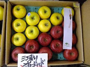 20111203 -���T�̔����ł�-_71