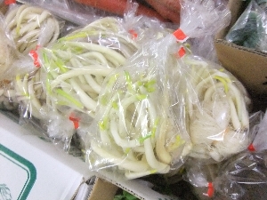 20111224 -���T�̔�����s��-_8