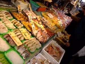 20111224 -���T�̔�����s��-_89