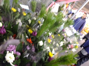 20111229-���T�̔�����s��-_14