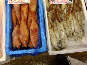 20111229-���T�̔�����s��-_67