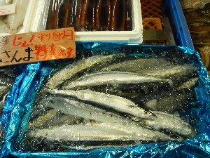 20130921 -T̔ł-_24