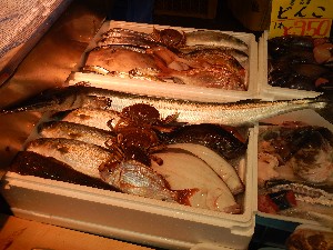 20130921 -T̔ł-_30