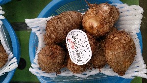 20130928 - T̔ł  -_20