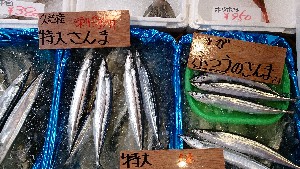 20130928 - T̔ł  -_42