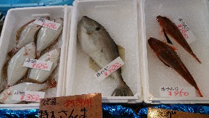 20130928 - T̔ł  -_43