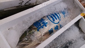 20130928 - T̔ł  -_55