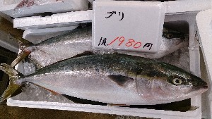 20130928 - T̔ł  -_56