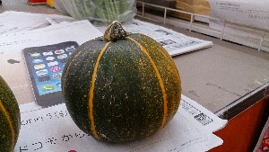 20130928 - T̔ł  -_58
