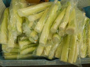 20131005 - T̔ł  -_7
