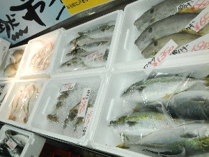 20131005 - T̔ł  -_52