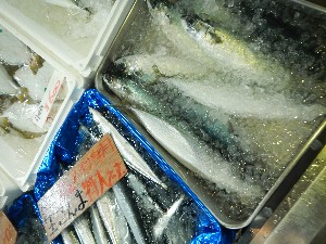 20131005 - T̔ł  -_55