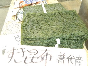 20131005 - T̔ł  -_58