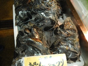 20131005 - T̔ł  -_60
